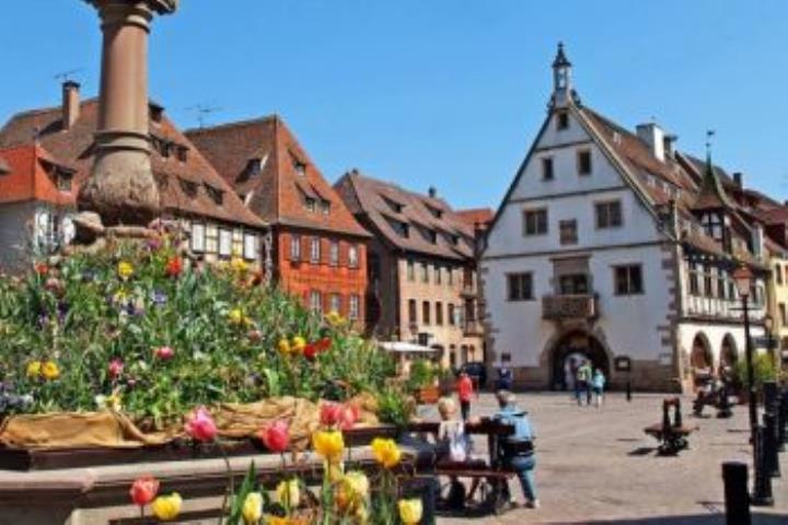 4 dagen Hotel A la Cour d'Alsace ****(*)